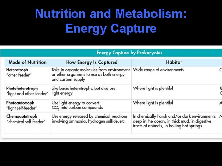 Nutrition and Metabolism: Energy Capture 