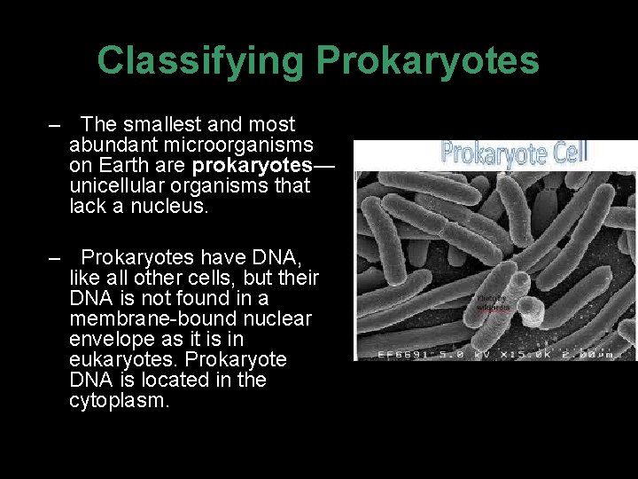Classifying Prokaryotes – The smallest and most abundant microorganisms on Earth are prokaryotes— unicellular