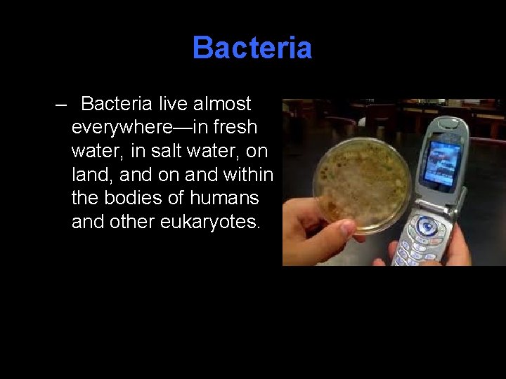 Bacteria – Bacteria live almost everywhere—in fresh water, in salt water, on land, and