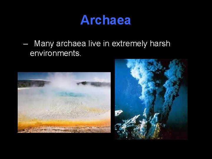 Archaea – Many archaea live in extremely harsh environments. 