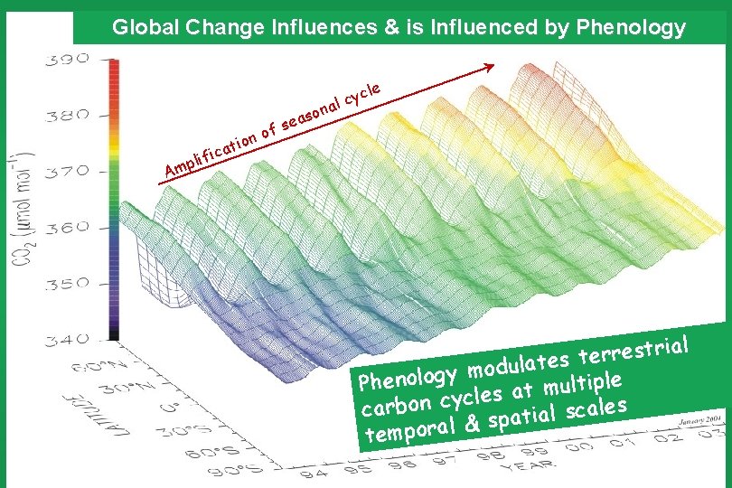 Global Change Influences & is Influenced by Phenology le i io t a c Global Change Influences & is Influenced by Phenology le i io t a c