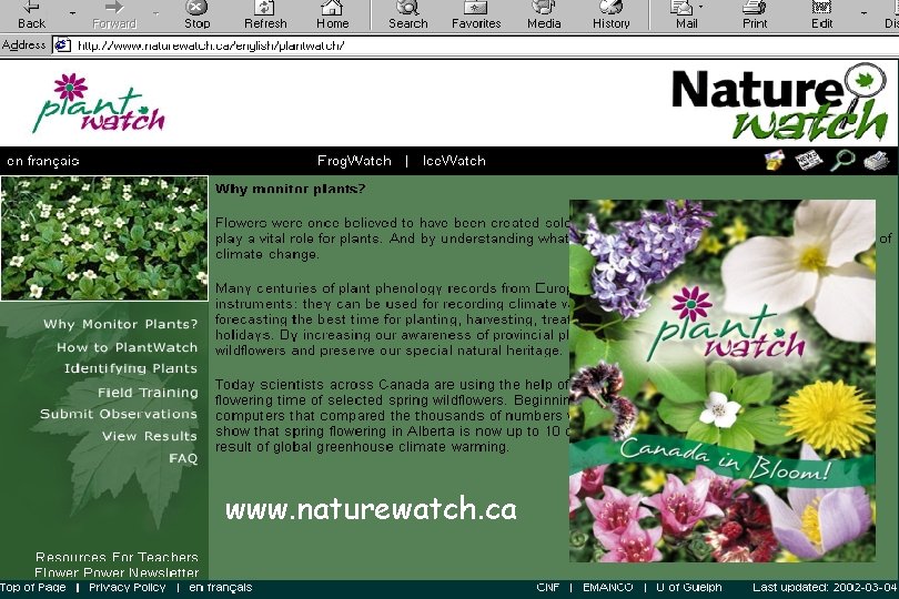Elisabeth Beaubien Plantwatch National Coordinator University of Alberta, Edmonton www. naturewatch. ca USA-NPN 2006 Elisabeth Beaubien Plantwatch National Coordinator University of Alberta, Edmonton www. naturewatch. ca USA-NPN 2006