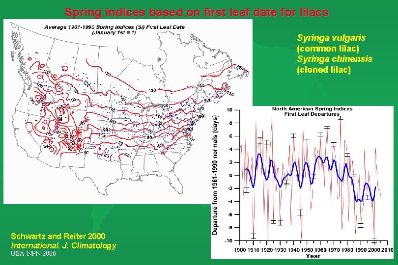 Spring indices based on first leaf date for lilacs Syringa vulgaris (common lilac) Syringa Spring indices based on first leaf date for lilacs Syringa vulgaris (common lilac) Syringa