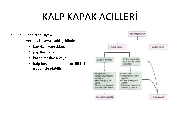 KALP KAPAK ACİLLERİ • Valvüler disfonksiyon – yetersizlik veya darlık şeklinde • kapakçık yaprakları,