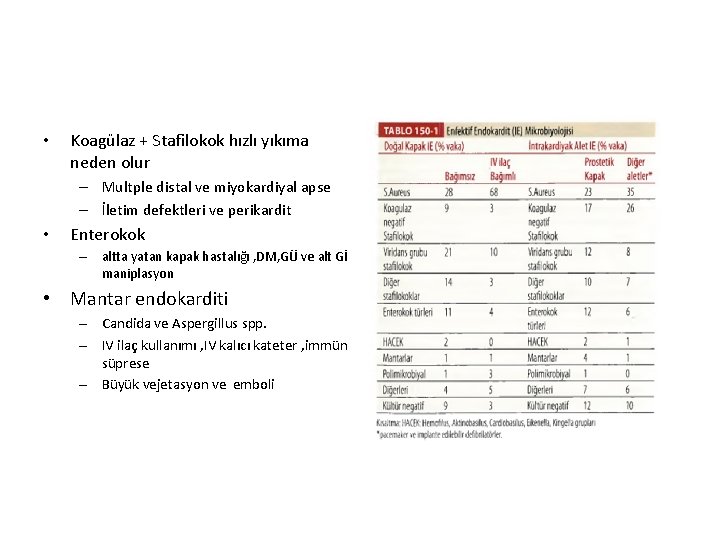  • Koagülaz + Stafilokok hızlı yıkıma neden olur – Multple distal ve miyokardiyal