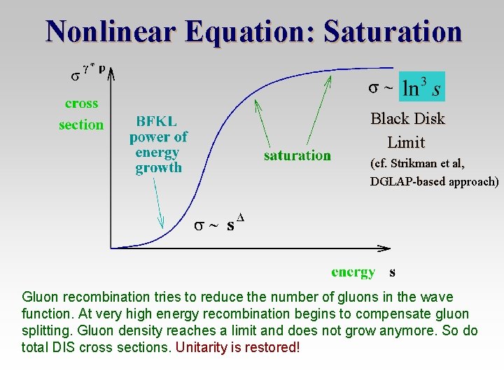 Nonlinear Equation: Saturation Black Disk Limit (cf. Strikman et al, DGLAP-based approach) Gluon recombination