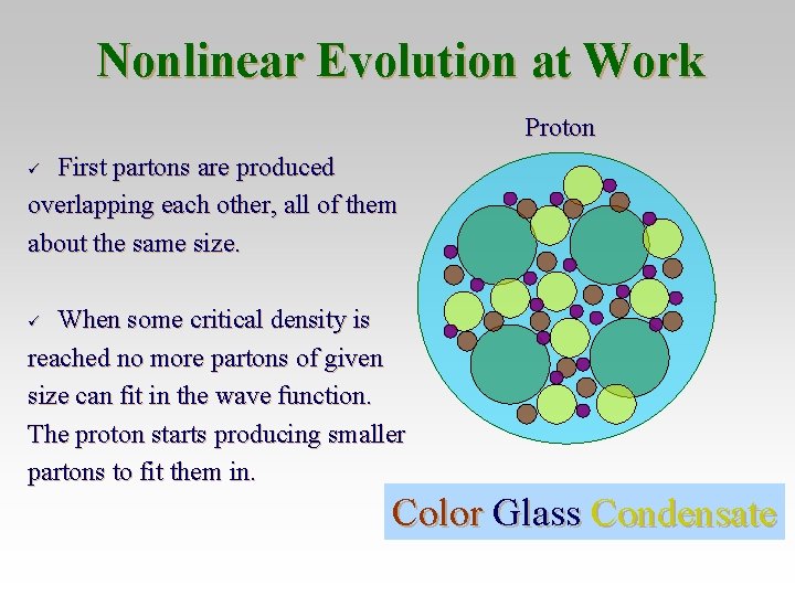 Nonlinear Evolution at Work Proton First partons are produced overlapping each other, all of