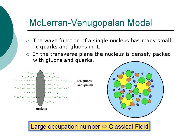 Mc. Lerran-Venugopalan Model ¡ ¡ The wave function of a single nucleus has many