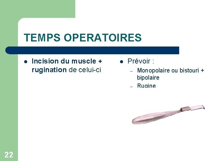 TEMPS OPERATOIRES l Incision du muscle + rugination de celui-ci l Prévoir : –