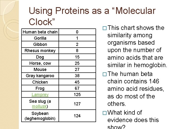 Using Proteins as a “Molecular Clock” � This chart shows the Human beta chain