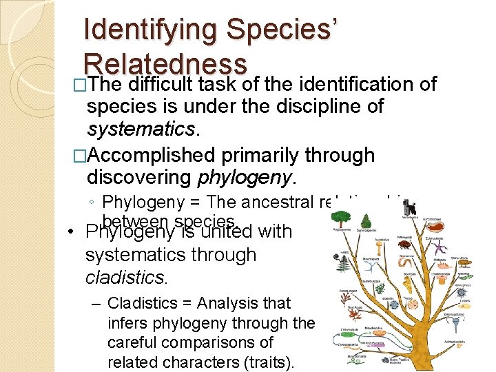 Identifying Species’ Relatedness �The difficult task of the identification of species is under the