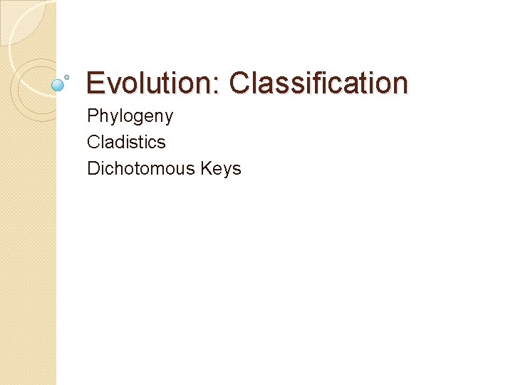 Evolution: Classification Phylogeny Cladistics Dichotomous Keys 