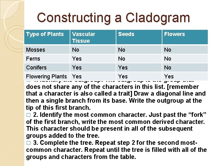 Constructing a Cladogram Type of Plants Vascular Tissue Seeds Flowers Mosses No No No