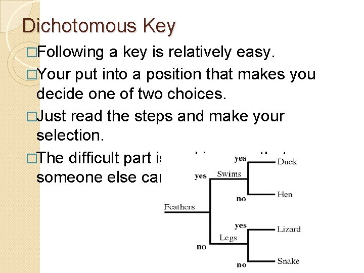 Dichotomous Key �Following a key is relatively easy. �Your put into a position that