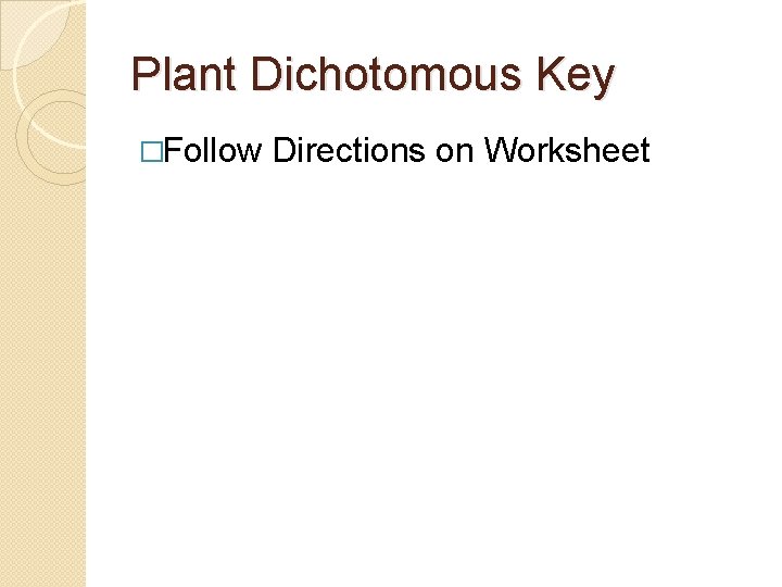 Plant Dichotomous Key �Follow Directions on Worksheet 