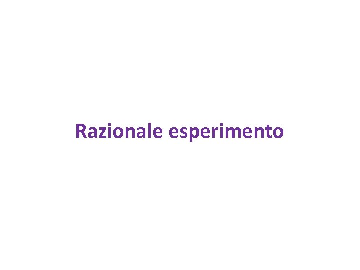 Razionale esperimento 
