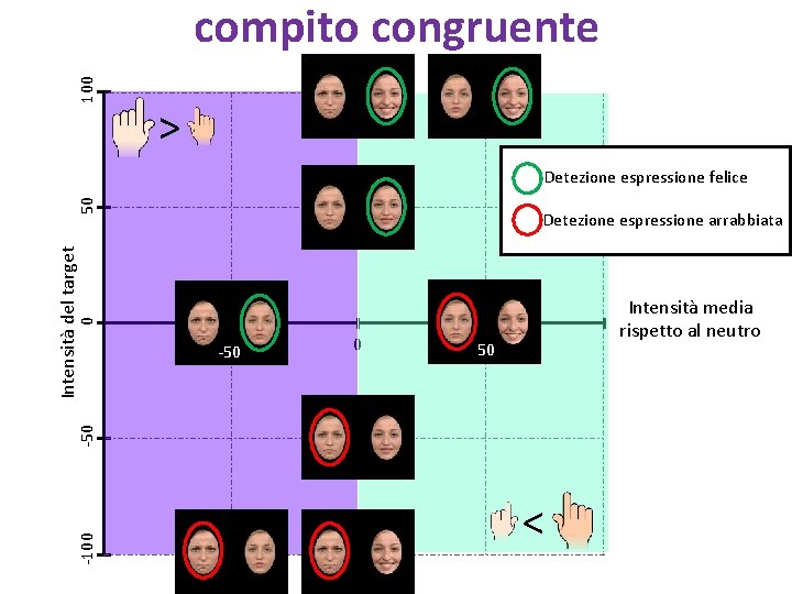 100 compito congruente > Detezione espressione arrabbiata Intensità media rispetto al neutro 0 Intensità