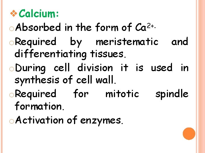 ❖Calcium: o. Absorbed in the form of Ca 2+. o. Required by meristematic and