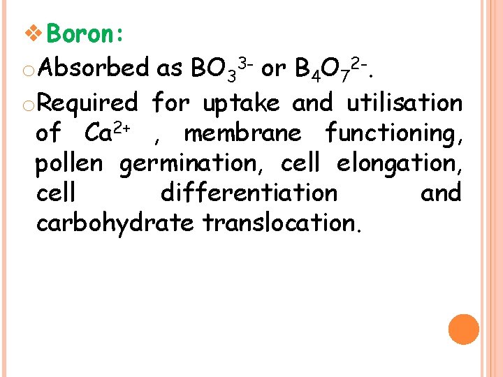 ❖Boron: o. Absorbed as BO 33 - or B 4 O 72 -. o.