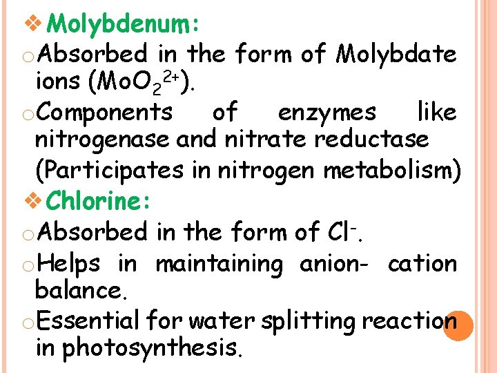 ❖Molybdenum: o. Absorbed in the form of Molybdate ions (Mo. O 22+). o. Components