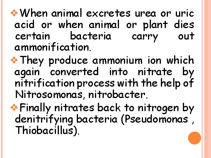❖When animal excretes urea or uric acid or when animal or plant dies certain