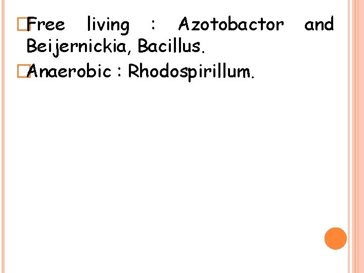 �Free living : Azotobactor Beijernickia, Bacillus. �Anaerobic : Rhodospirillum. and 