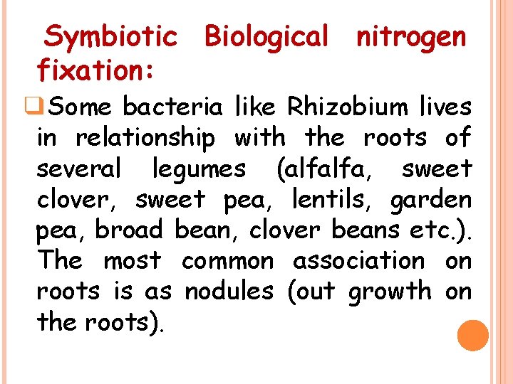 Symbiotic Biological nitrogen fixation: ❑Some bacteria like Rhizobium lives in relationship with the roots