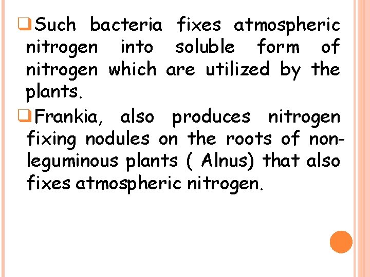❑Such bacteria fixes atmospheric nitrogen into soluble form of nitrogen which are utilized by