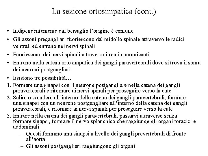 La sezione ortosimpatica (cont. ) • Indipendentemente dal bersaglio l’origine è comune • Gli