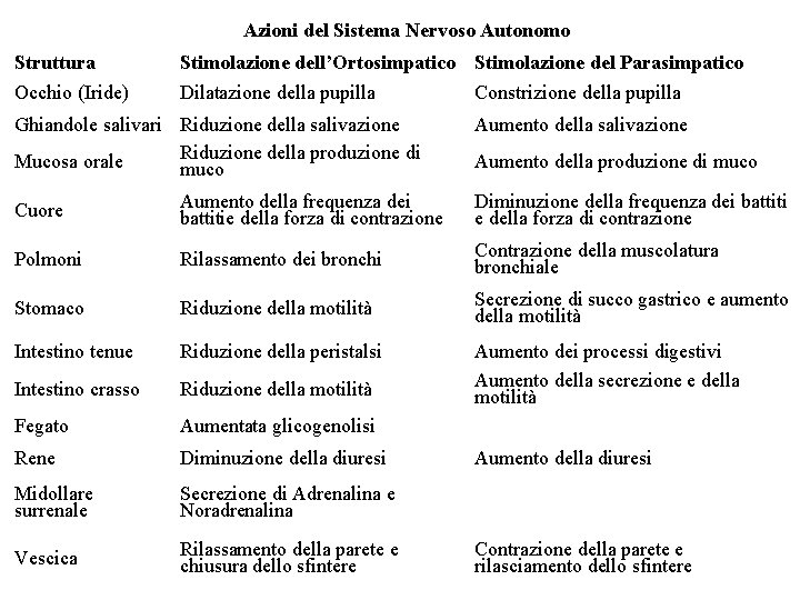 Azioni del Sistema Nervoso Autonomo Struttura Occhio (Iride) Stimolazione dell’Ortosimpatico Stimolazione del Parasimpatico Dilatazione