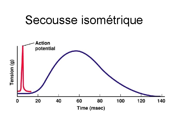 Secousse isométrique 