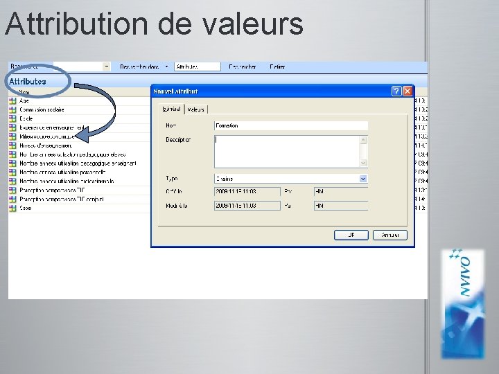 Attribution de valeurs captures d’écran pour N’Vivo 