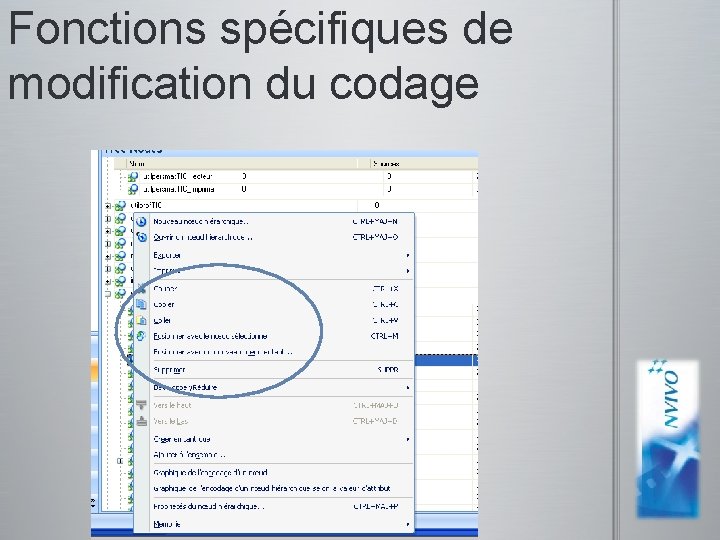 Fonctions spécifiques de modification du codage captures d’écran pour N’Vivo 