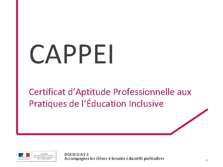 CAPPEI Certificat d’Aptitude Professionnelle aux Pratiques de l’Éducation Inclusive DGESCO A 1 -3 Accompagner