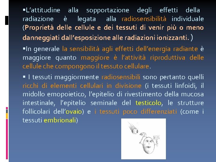  L’attitudine alla sopportazione degli effetti della radiazione è legata alla radiosensibilità individuale (Proprietà