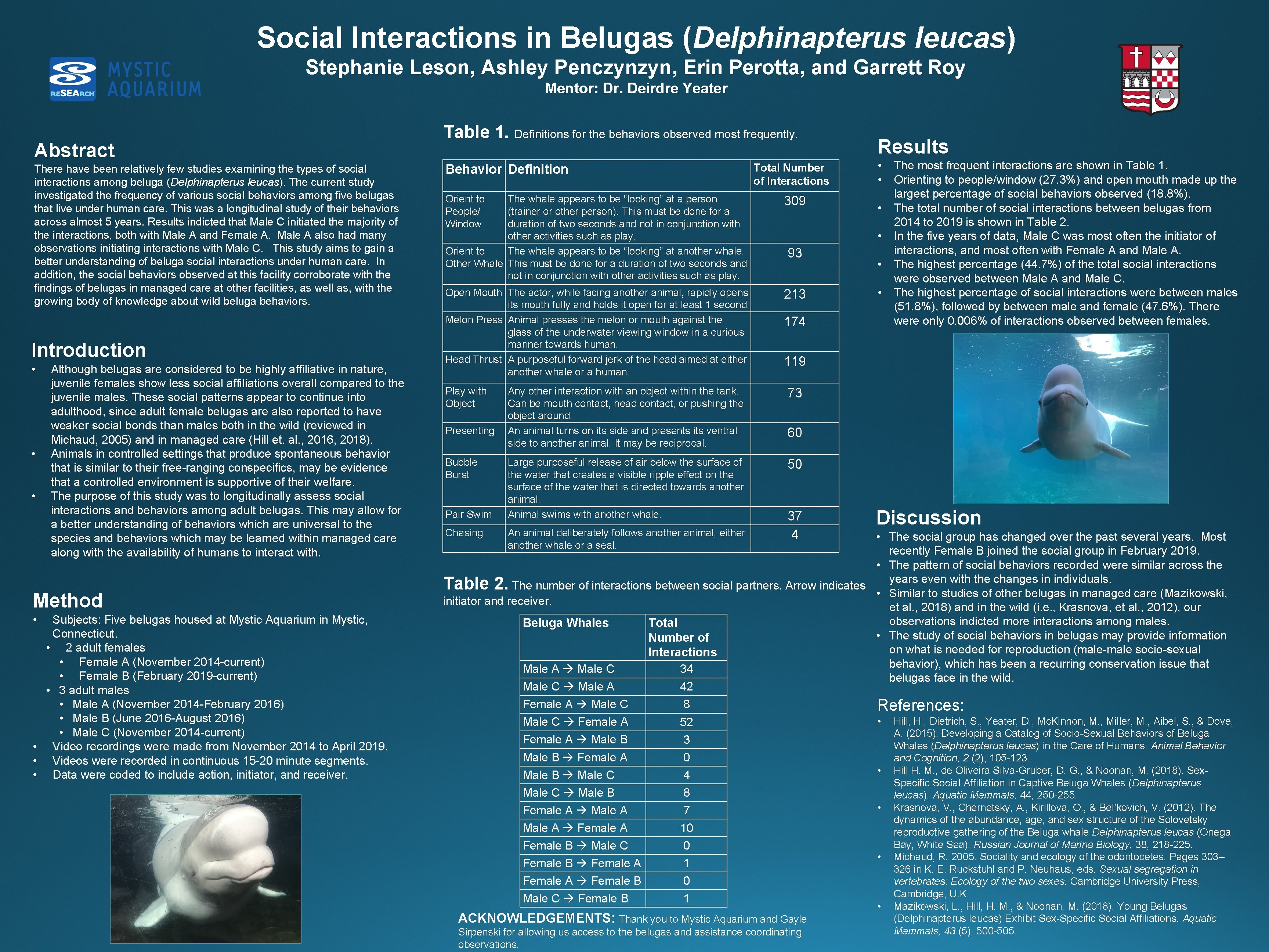 Social Interactions in Belugas (Delphinapterus leucas) Stephanie Leson, Ashley Penczynzyn, Erin Perotta, and Garrett