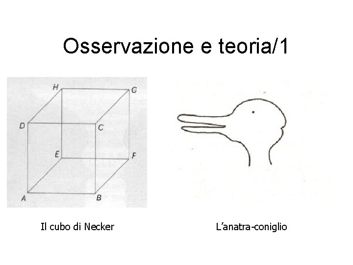 Osservazione e teoria/1 Il cubo di Necker L’anatra-coniglio 
