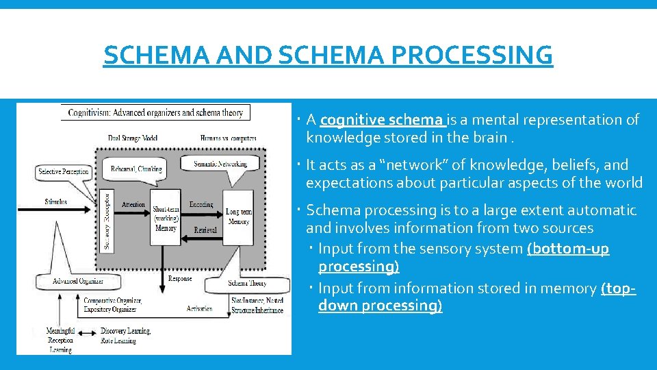 SCHEMA AND SCHEMA PROCESSING A cognitive schema is a mental representation of knowledge stored