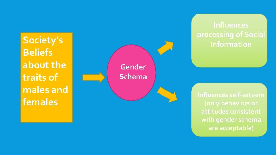 Society’s Beliefs about the traits of males and females Influences processing of Social Information