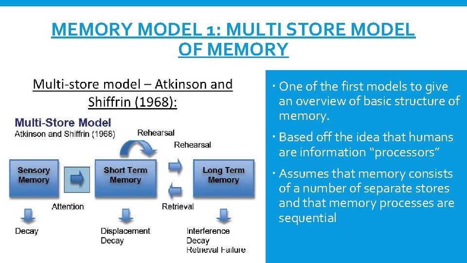 MEMORY MODEL 1: MULTI STORE MODEL OF MEMORY One of the first models to