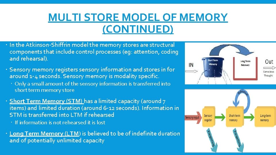 MULTI STORE MODEL OF MEMORY (CONTINUED) In the Atkinson-Shiffrin model the memory stores are