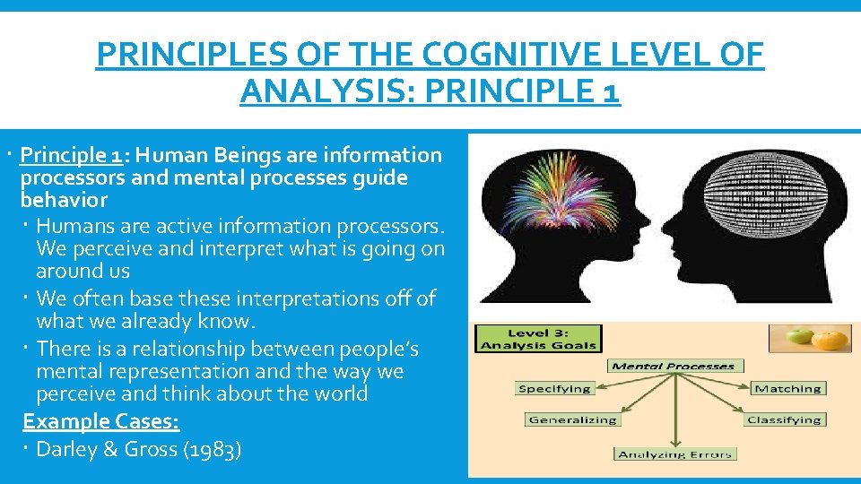 PRINCIPLES OF THE COGNITIVE LEVEL OF ANALYSIS: PRINCIPLE 1 Principle 1: Human Beings are