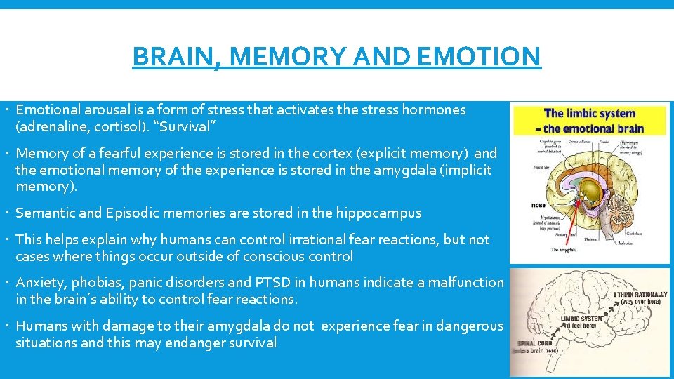 BRAIN, MEMORY AND EMOTION Emotional arousal is a form of stress that activates the