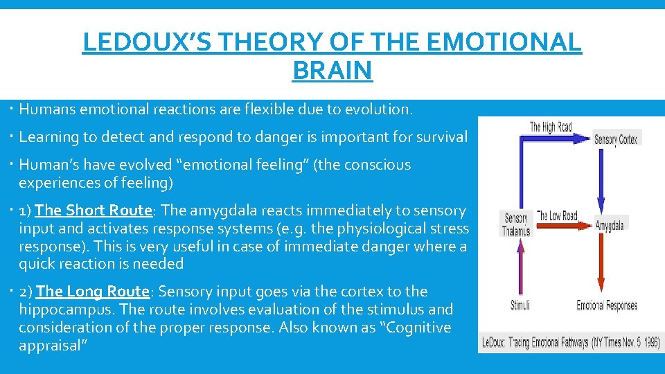 LEDOUX’S THEORY OF THE EMOTIONAL BRAIN Humans emotional reactions are flexible due to evolution.