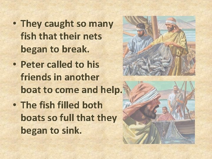 • They caught so many fish that their nets began to break. • • They caught so many fish that their nets began to break. •