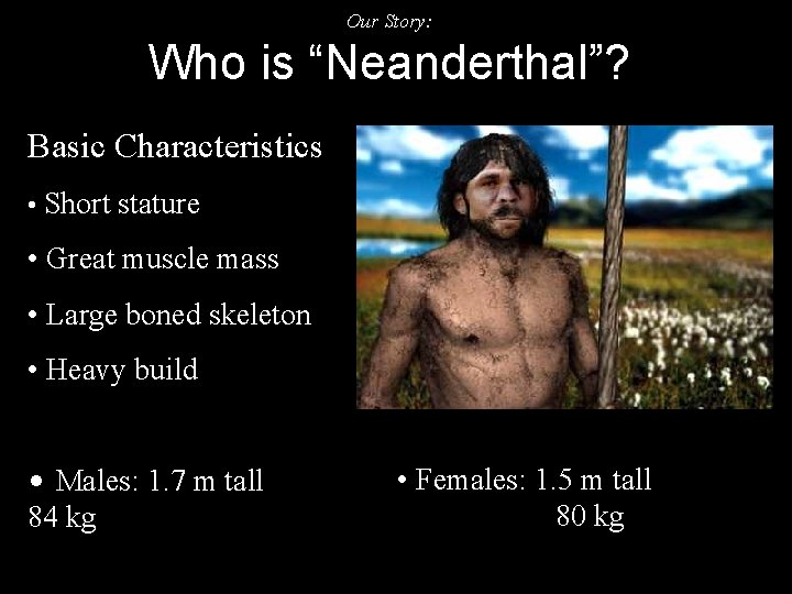 Our Story: Who is “Neanderthal”? Basic Characteristics • Short stature • Great muscle mass