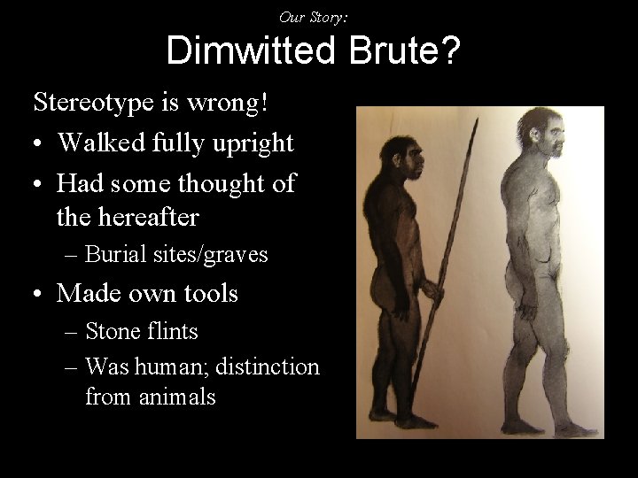 Our Story: Dimwitted Brute? Stereotype is wrong! • Walked fully upright • Had some