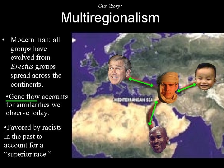 Our Story: Multiregionalism • Modern man: all groups have evolved from Erectus groups spread