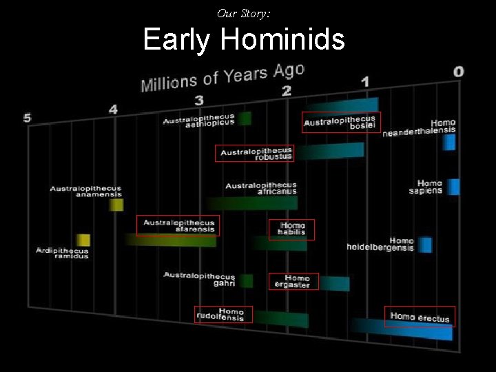 Our Story: Early Hominids 