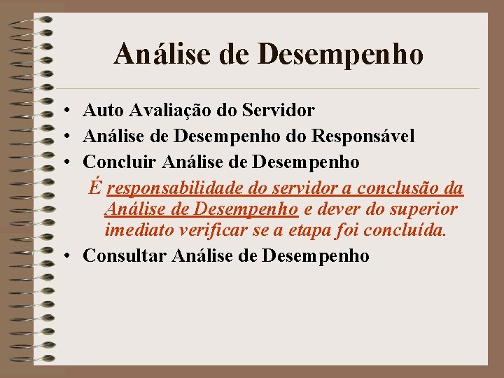 Análise de Desempenho • Auto Avaliação do Servidor • Análise de Desempenho do Responsável